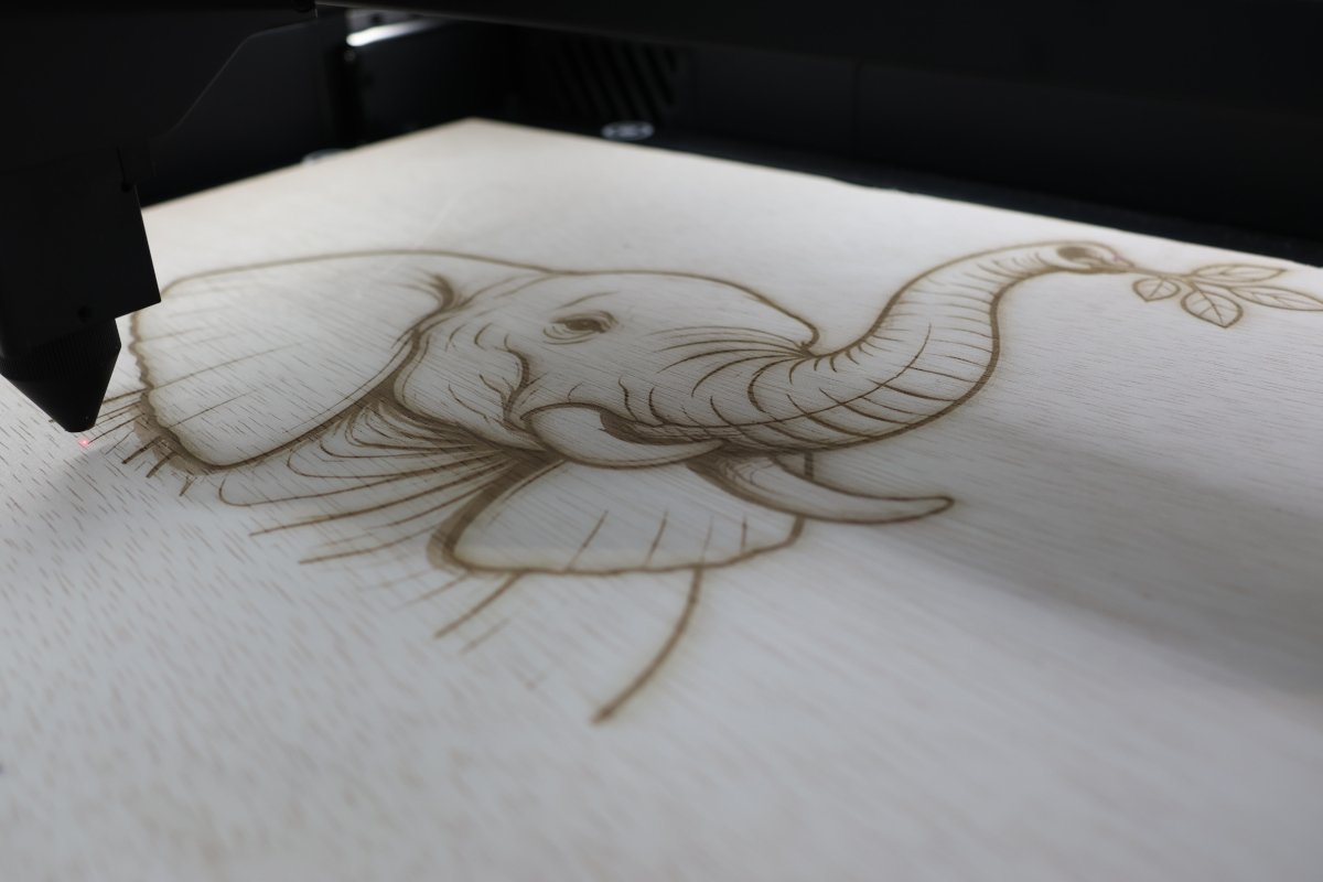 capability laser engrave elephant